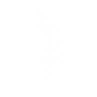 feather.png