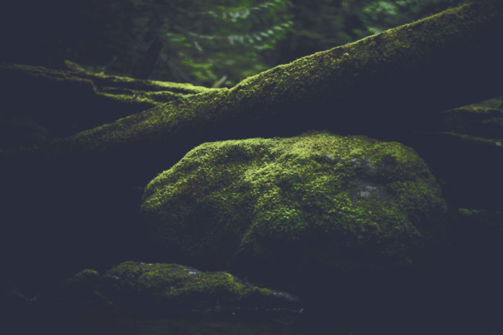 unsplash-9b4WStMHwbw_edited_edited.jpg
