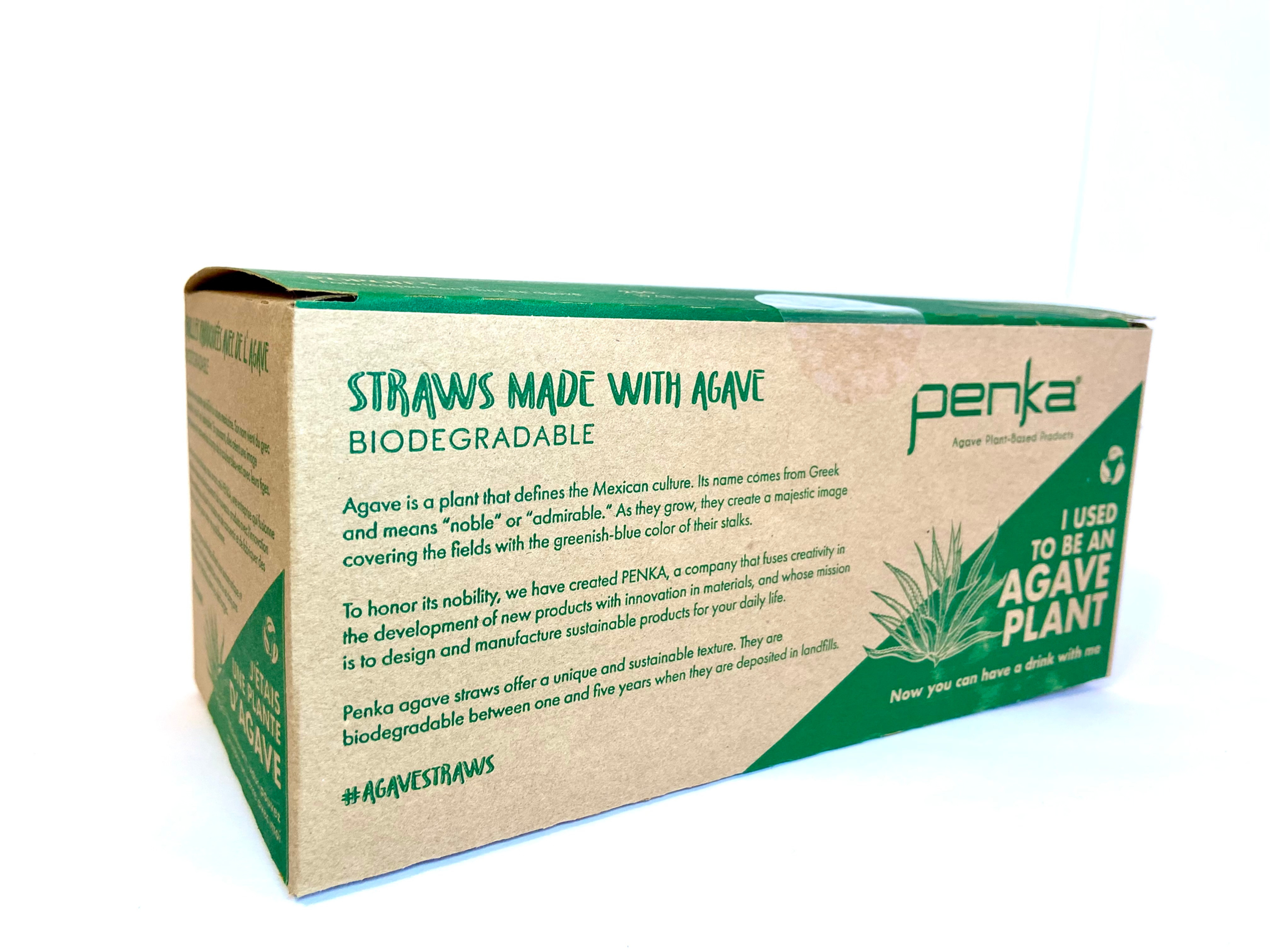 8.2" Agave Plant Bio Drinking Straw / 2500 each box