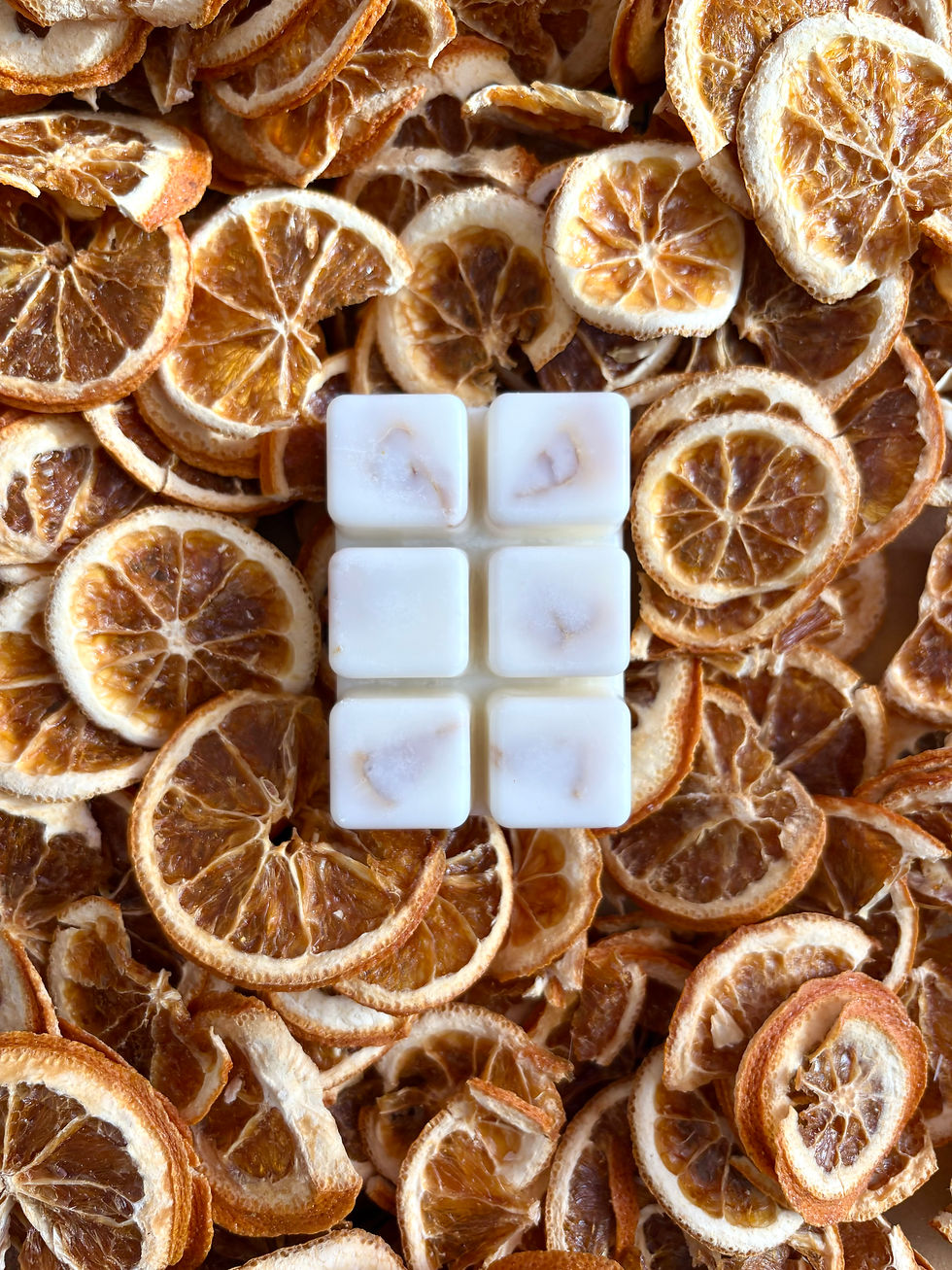 LEMONGRASS Coconut & Rapeseed Wax Melts