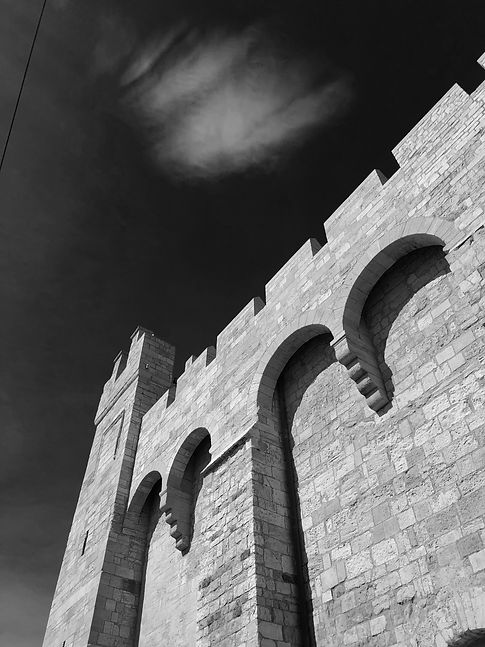 IMG_8452.jpg