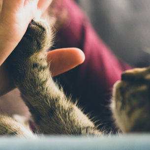 Your daily love letter