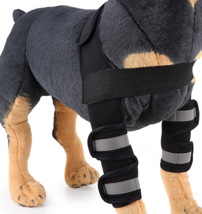 Canine Recovery Knee Brace
