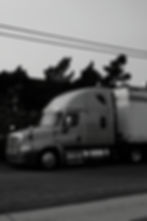 truck in black and white color