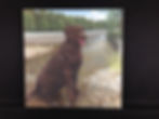 Maggie at the Green River.jpg