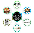 Black+Farmer+Ecosystem+(6).JPEG