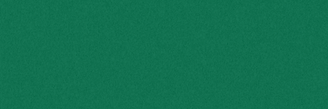 BUGS announcement--Email header (1).png
