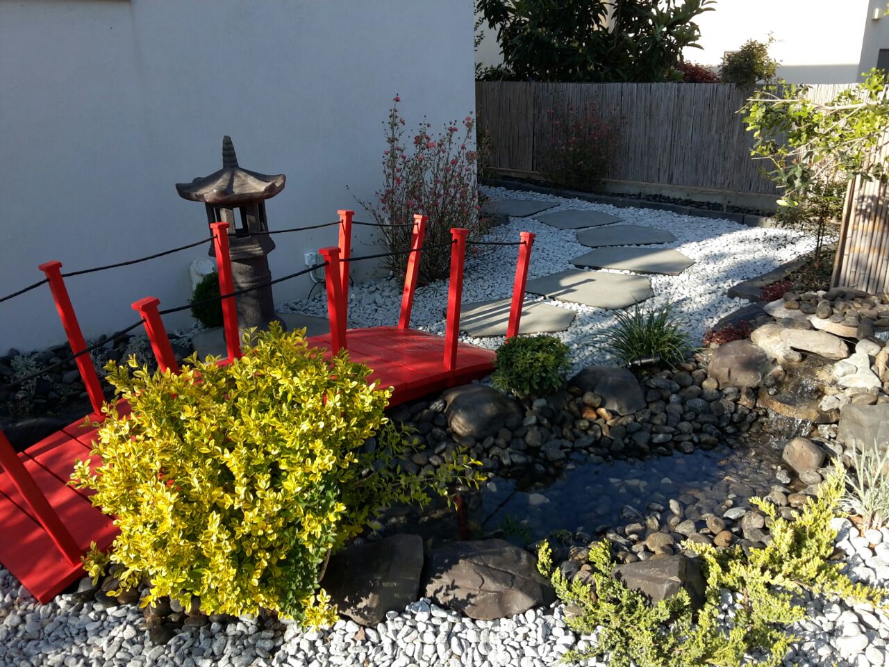 Bonsai Shop בונסאי שופ