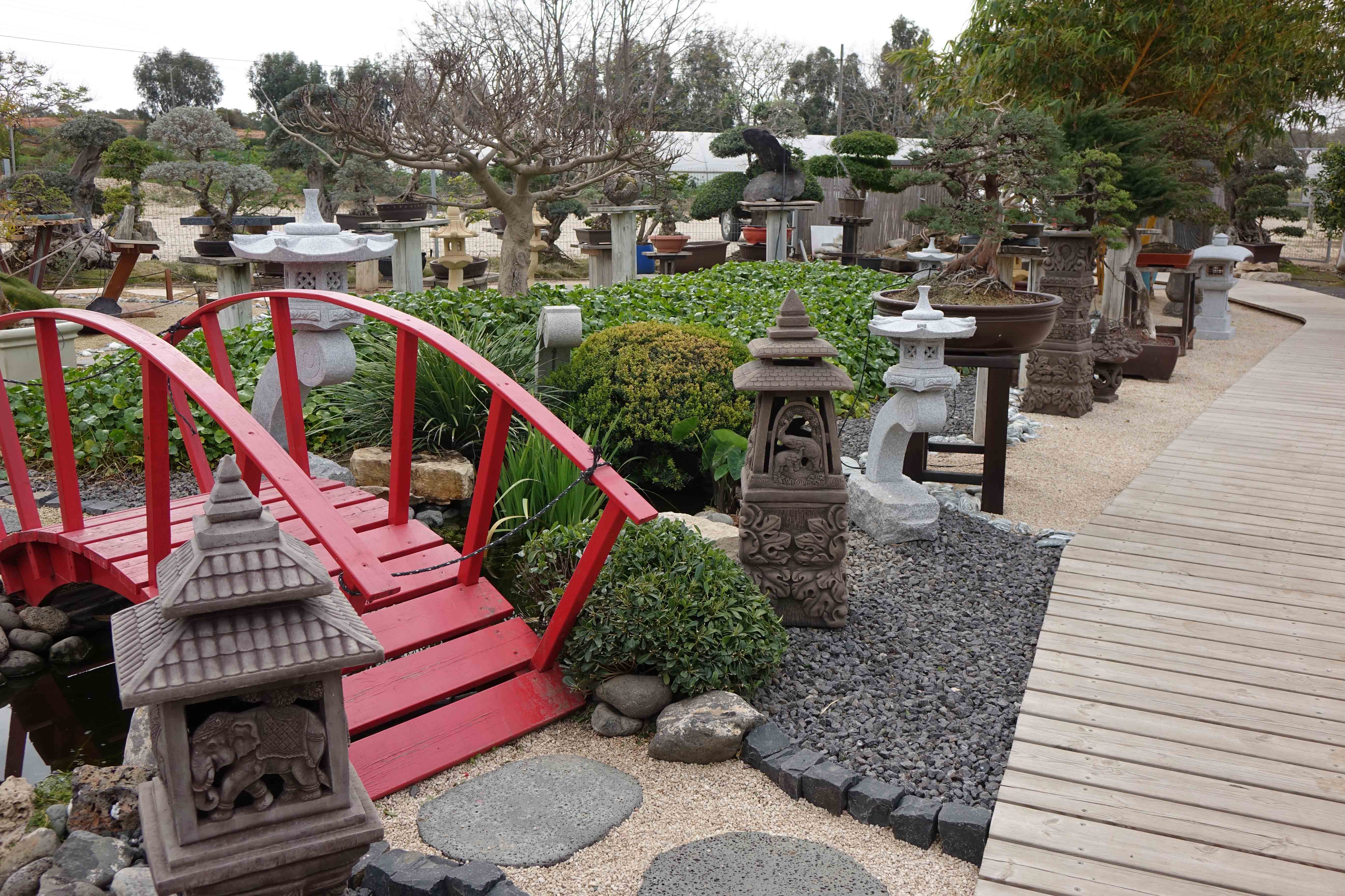 Bonsai Shop בונסאי שופ