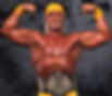 Hulk Hogan is one of the greatest wrestlers of all time if not the greatest. He has had a few classics that were worthy of watching over and over again. Since Hogan died recently, it is fitting that I make a post about his amazing legacy and classic matches.