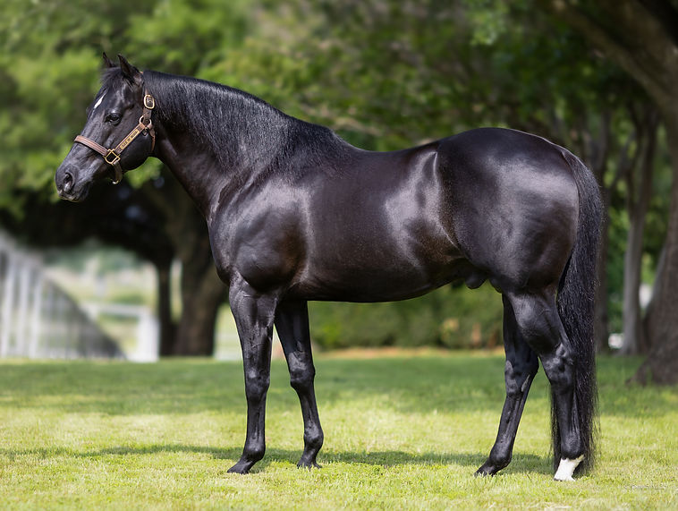 Cachaca Flit profile_edited_edited.jpg