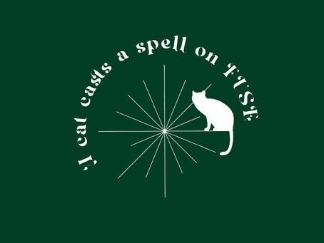 A cat casts a spell on Fuse-MK BIRTHDAY PROJECT-