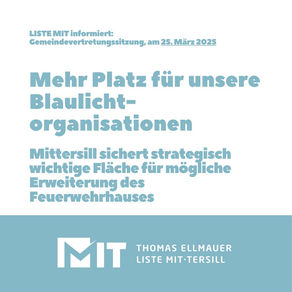 Gemeindevertretungsbeschluss 26.3.25