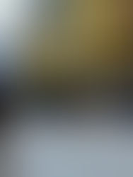 Haringseisstockschießen 17.2.2026