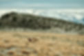 Mono Lake Area