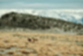 Mono Lake Area