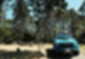 Salt Point State Park