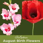 August 2026 Newsletter