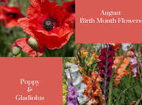 August Newsletter