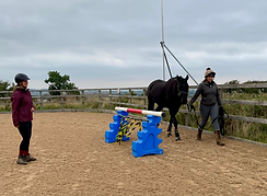 horse agility lesson