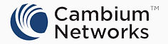 cambium.jpg