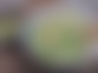 勝瓜蝦米咸蛋肉碎湯(2人份量)