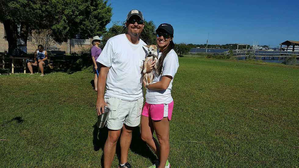 Dog Days