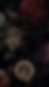 Untitled design-7.png
