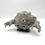 Küçük resim: #0074 Geodude Pokemon Gelişim Seti