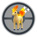 Galarian Zigzagoon