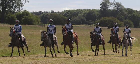 The Lameness Debate in Horses -  Subjective Judgement vs Objective Measurement