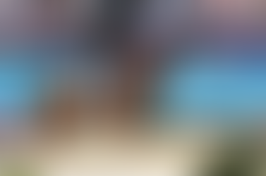 Laura Tomlinson and Horses Inside Out