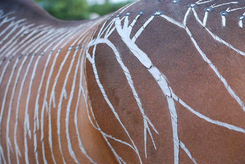 Gillian Higgins and Horses Inside Out. Bay horse with a painting of the nervous system on the horse