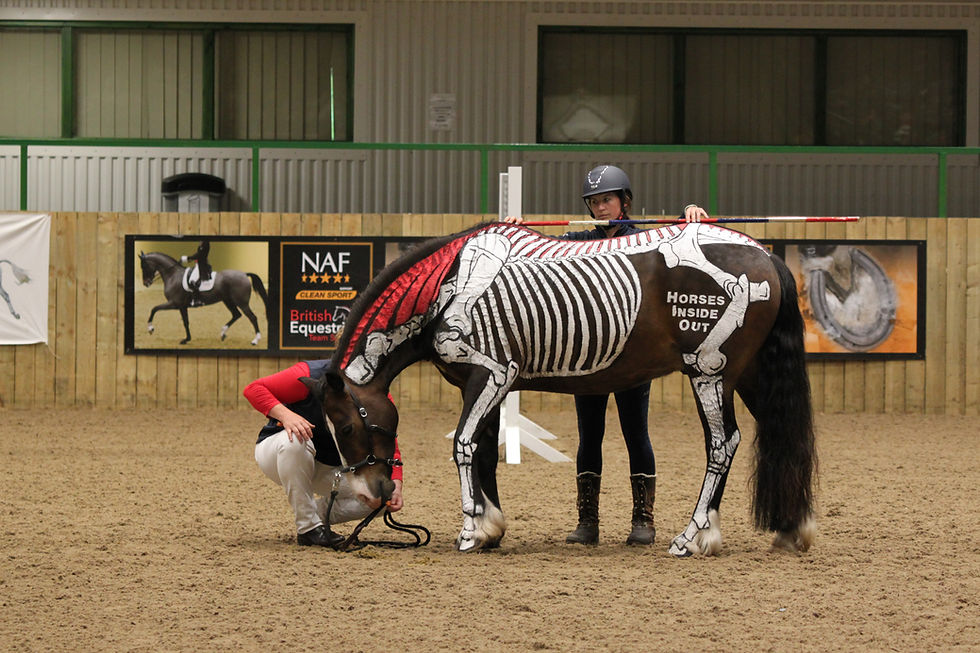 horse painted with skeleton stretching down