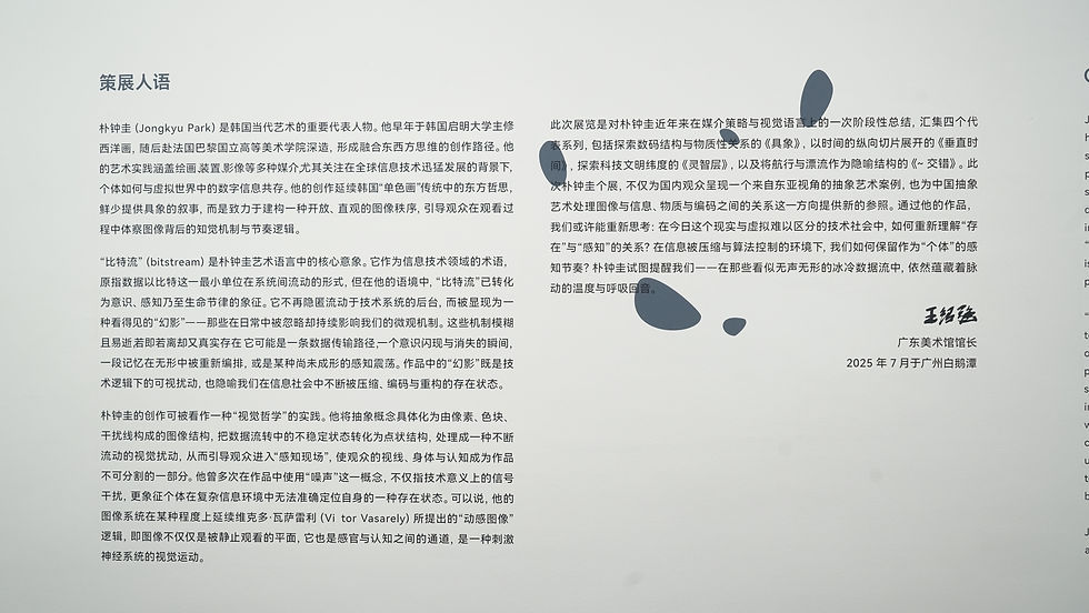 Spectres of the Bitstream