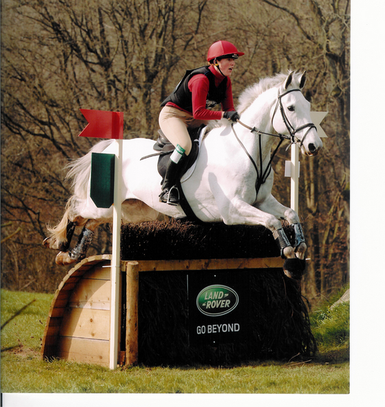 Harmonious Horsemanship and Recognising when Horses are in Pain