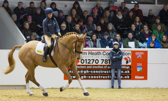 Dr Sue Dyson watching a chestnut horse and rider in an indoor arena