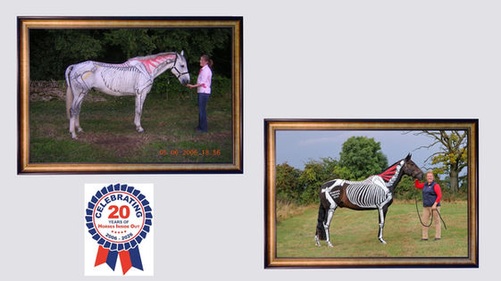 20 years of Horses Inside Out showing early anatomical painting and modern painting