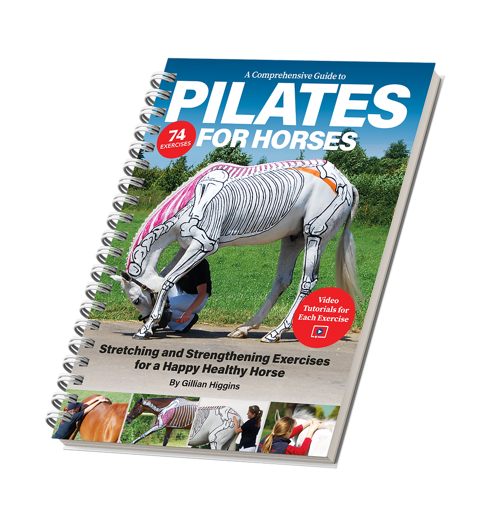 A Copilates for horses, stretching, strengthening, core stability and improve balance, co-ordination with these simple exercises you can with your own for. For happy healthy horses.mprehensive Guide to Pilates for Horses book