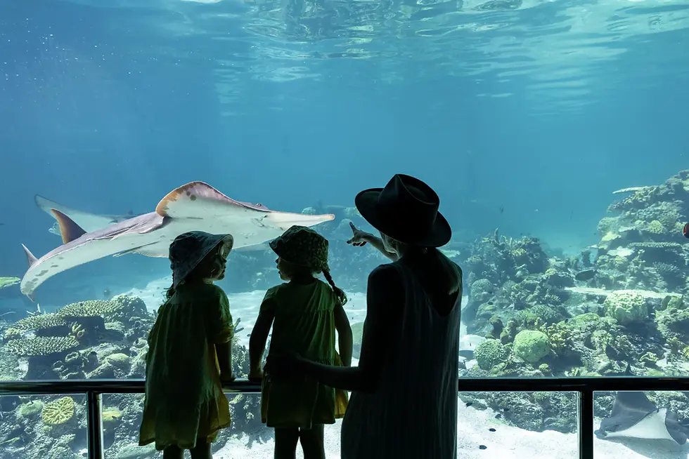 Gold Coast with kids on a budget — mum and child at the Sea World aquarium, from Burleigh Gold Coast Motel.