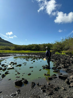 Lake in Floreana islands (Galapagos)