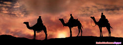 desert-sunset-nature-facebook-cover66