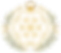 logo for web_edited.png