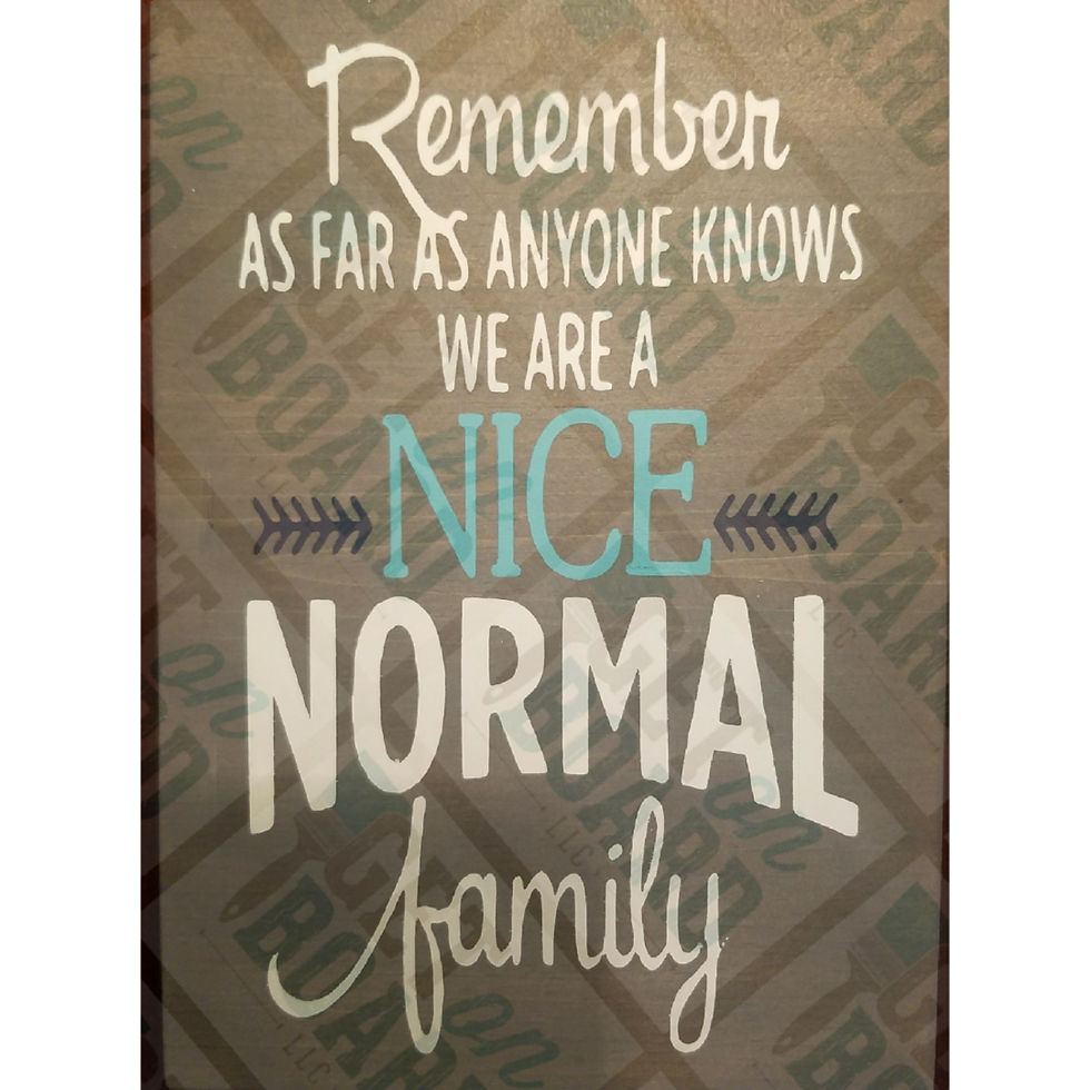 As Far as Anyone Knows We are a Nice Normal Family