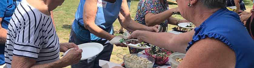Annual Picnic