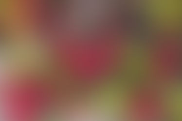 Unlock the Refreshing Power of Wintergreen Essential Oil: Your Secret Weapon for Health and Wellness!