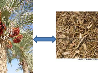 פרק א' בתהלים