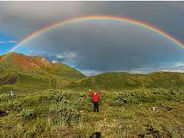 פרשת נח - הקשת שבענן