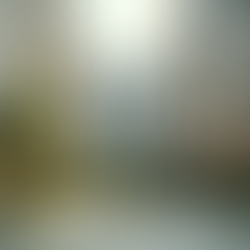 Entendendo a Diferença Entre Síndico Profissional e Síndico Morador