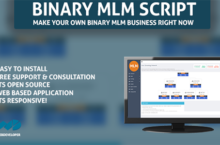 Binarymlmpronulledcode
